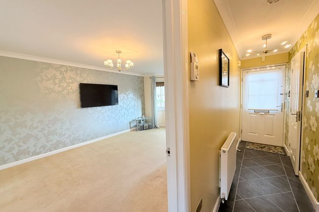 2, Cursiter court , Larbert  photo 2