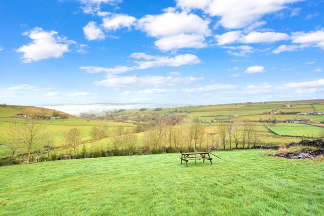 Alderhurst Head Farm Cottage, Hollin Hall, Colne photo 4