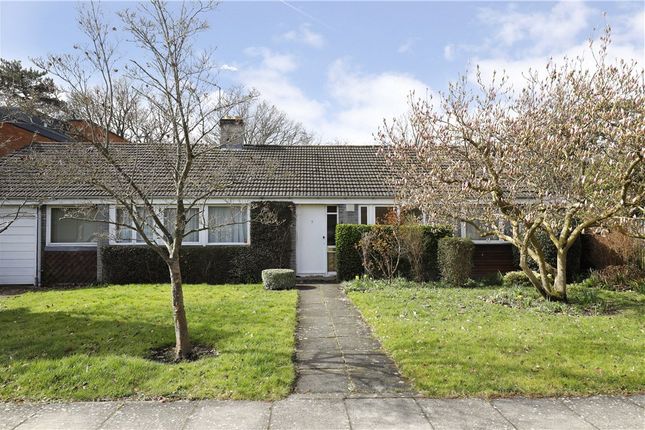 Thumbnail Bungalow for sale in Currie Hill Close, Wimbledon