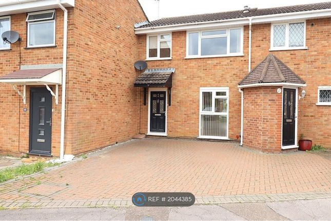 Terraced house to rent in Daffodil Way, Chelmsford