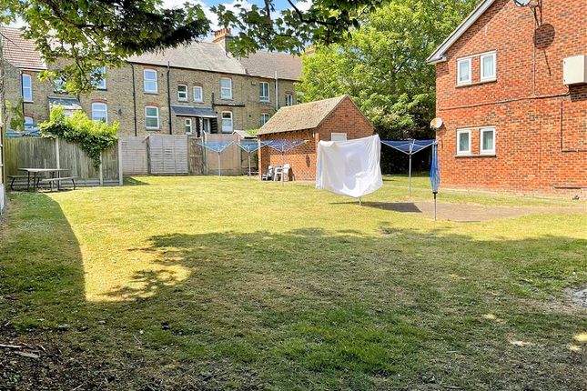 Communal Garden
