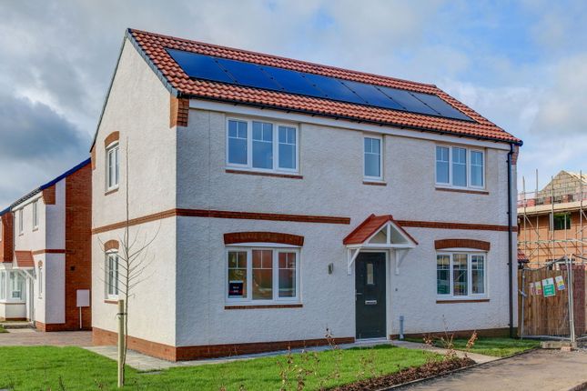 3-bed detached on Newbury, Edwards Birch, Morpeth, £299,995