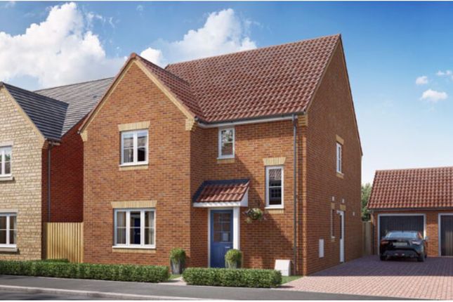 Thumbnail Detached house for sale in The Walnut @ The Orchards, Bourne Road, Grantham