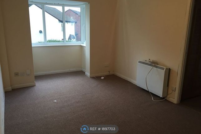 Main Room