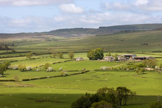 Farm for sale in The Rothbury Estate, Northumberland