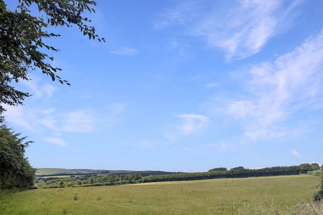 Halsgrove Farm - LOT 3,, Withypool, Somerset photo 3