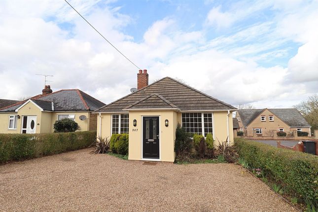 Detached bungalow to rent in Church Street, Bocking, Braintree