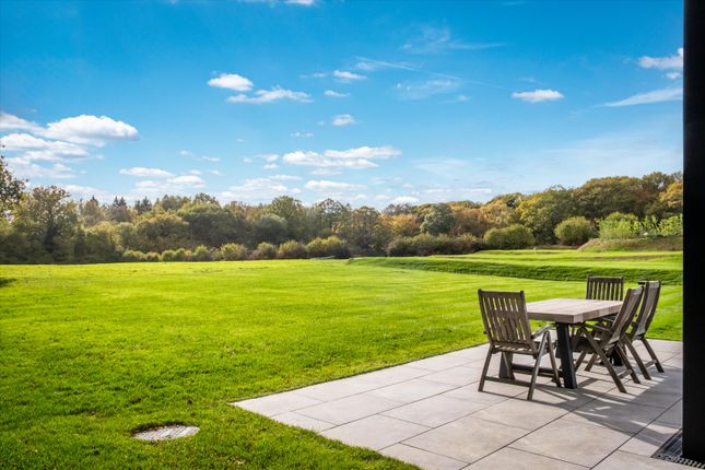 Walliswood, Dorking photo 2