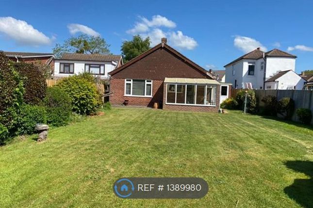 Thumbnail Bungalow to rent in The Drive, Fareham