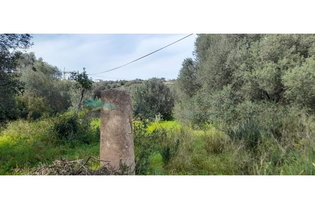Land for sale in Vale De Pegas, Paderne, Albufeira