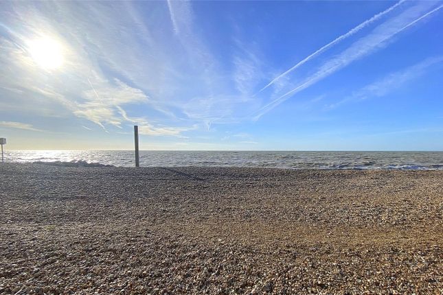 Beach Hut 28,, Beach Green, Lancing photo 4