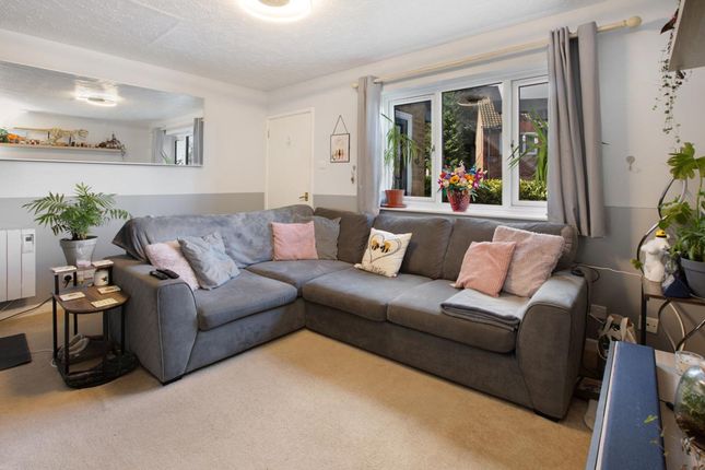 9 The Paddock, Dawlish photo 2