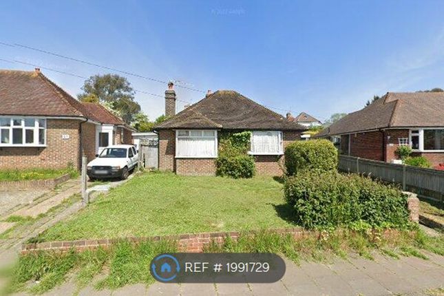 Thumbnail Bungalow to rent in Pembury Grove, Bexhill On Sea