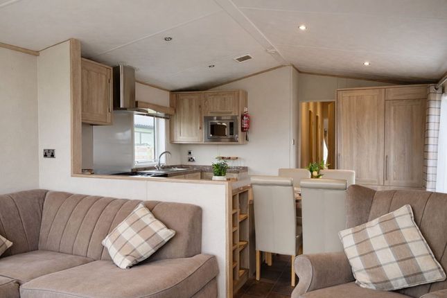 Wild Rose Holiday Park, Mill Ln, Appleby-in-Westmorland photo 4