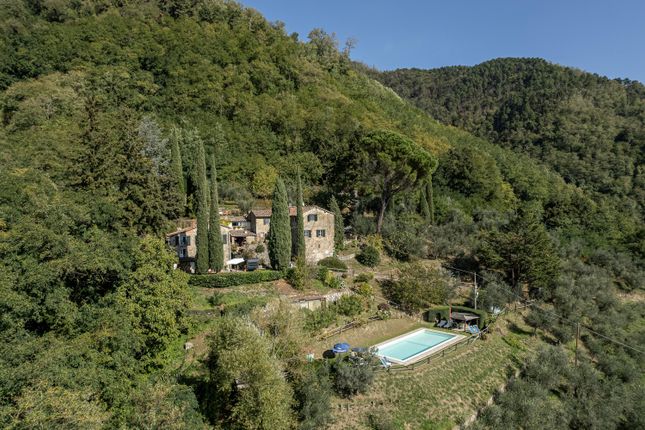 Farmhouse for sale in Capannori, Lucca, Tuscany, Italy