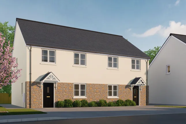 LiveWest - Foxes Field