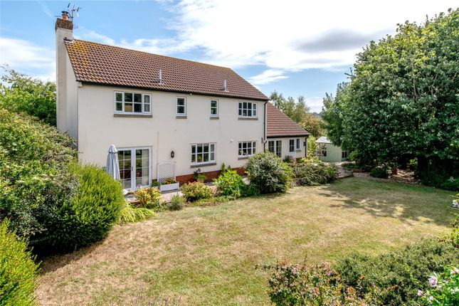 Rear Of House