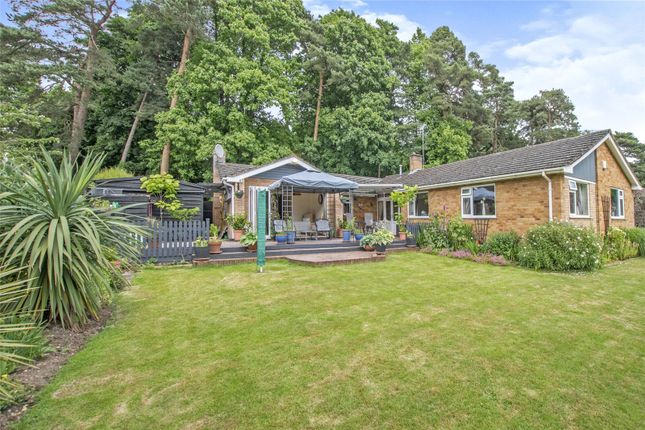 Thumbnail Bungalow for sale in The Avenues, Wroxham, Norwich, Norfolk