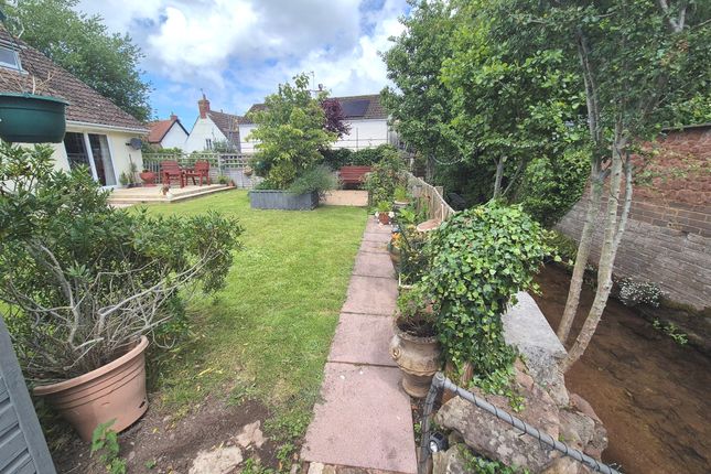 10, Robert Street, Taunton photo 5