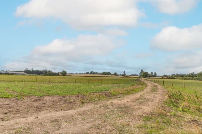 Bridge Farm, Low Road, Bungay photo 3
