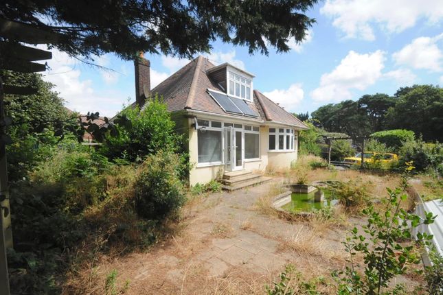 Thumbnail Detached house for sale in Constitution Hill Road, Lower Parkstone, Poole, Dorset