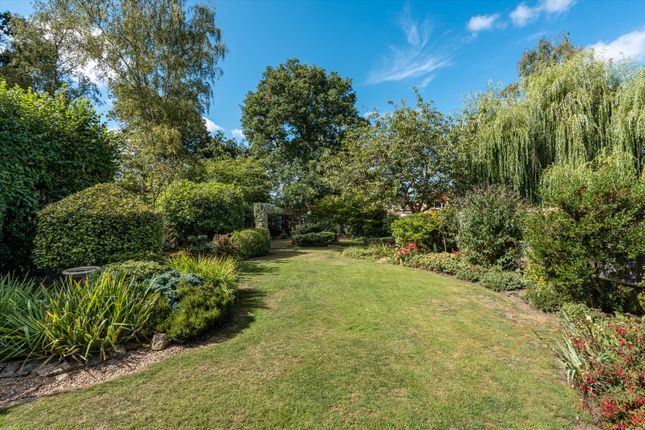 21, Merrow Woods, Guildford photo 2