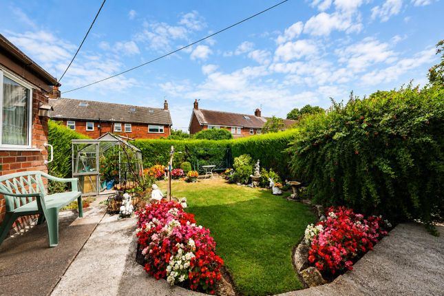 65, Travis Road, Cottingham photo 4