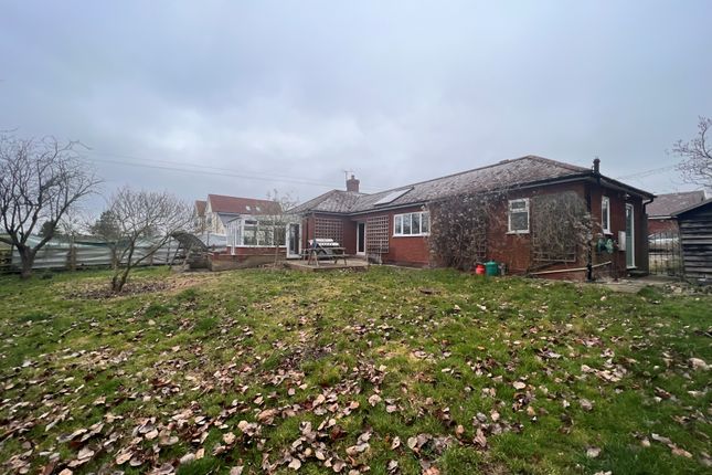 Thumbnail Detached bungalow to rent in Bury Road, Lawshall, Bury St. Edmunds