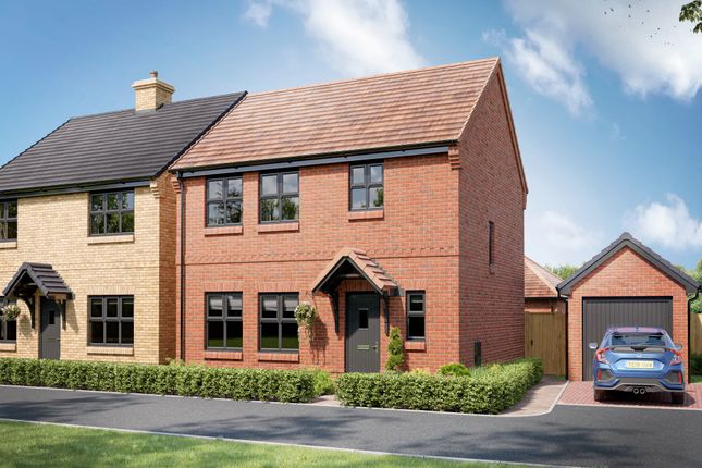 Thumbnail Detached house for sale in "The Whitehall" at Ann Strutt Close, Hadleigh, Ipswich