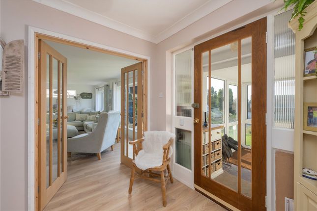 16, Cherry Glebe, Ashford photo 3