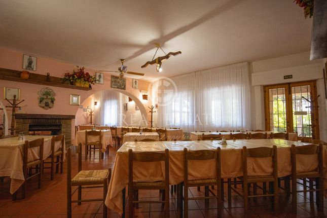 Villa for sale in Magliano In Toscana, Grosseto, Tuscany