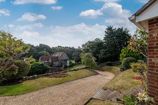 Orchard Cottage, Town Lane, Chale Green photo 3