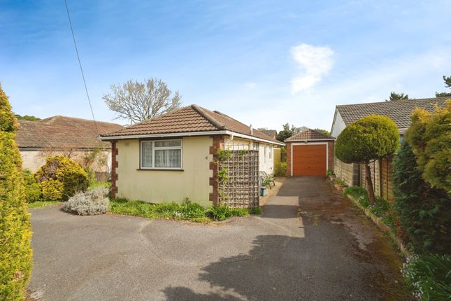 6, St. Ives End Lane, Ringwood photo 3