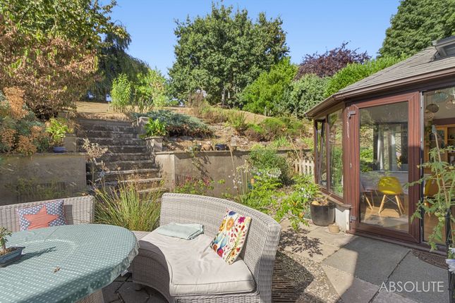 The Spinney, Brixham photo 4