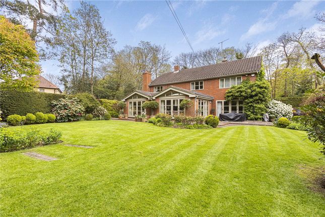 Thumbnail Country house for sale in Tewin Close, Tewin, Welwyn, Hertfordshire