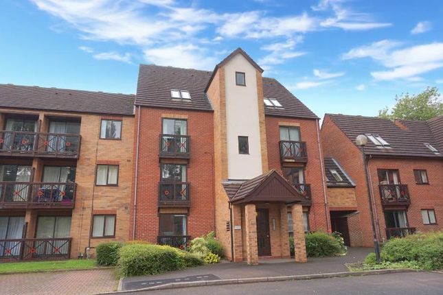 Thumbnail Property to rent in Peter James Court, Stafford