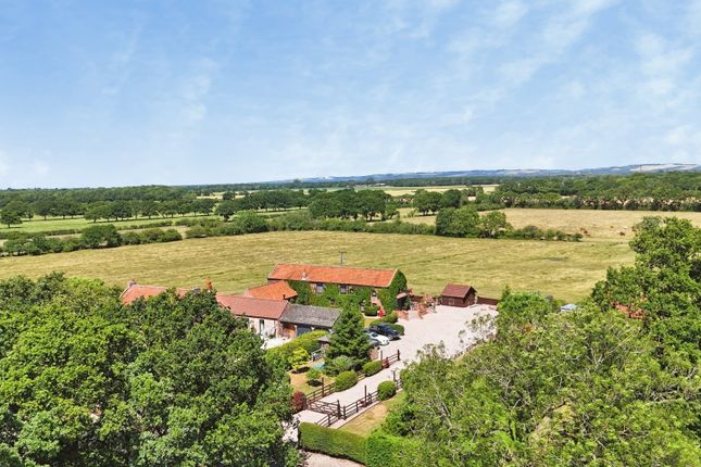 Blue Turtle, Laytham, East Riding of Yorkshire photo 4