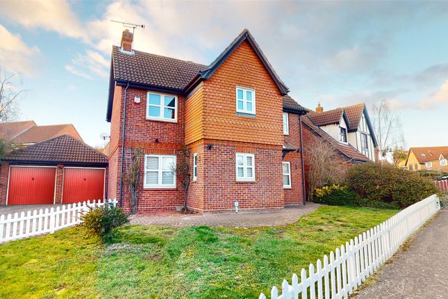 Thumbnail Detached house for sale in Yew Close, Steepleview, Laindon, Essex