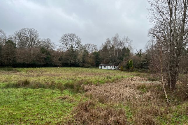 1, Jacksons Place, Hartfield photo 3