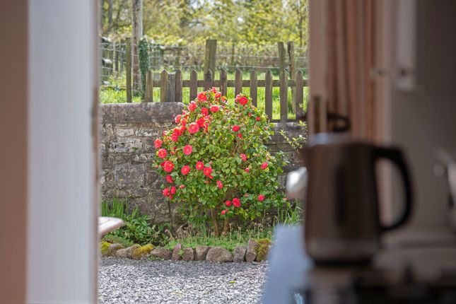 A Page _ 160424_Heol_Ddu_Farm_Cefneithin_087.Jpg