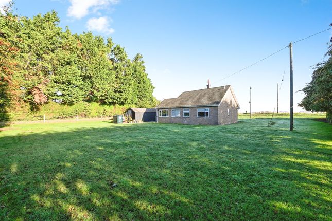 Harwins Bungalow, The Pingle, Wisbech photo 2