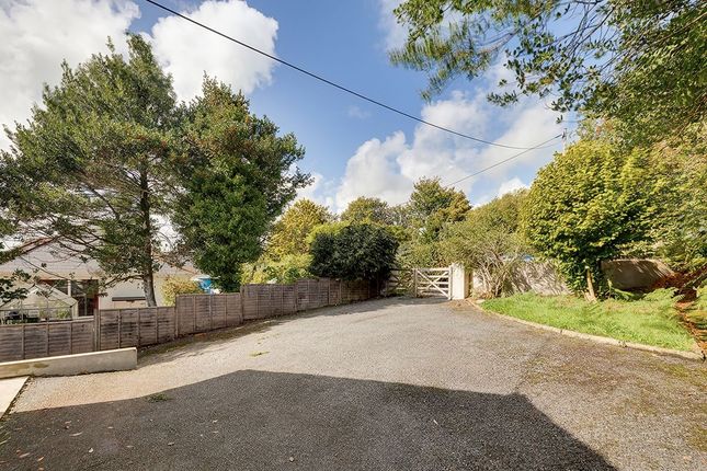 Callington photo 3