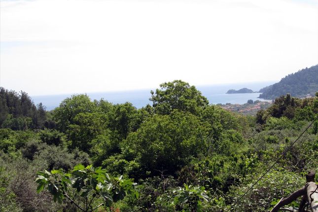 Land for sale in Potamia, Kavala, Gr