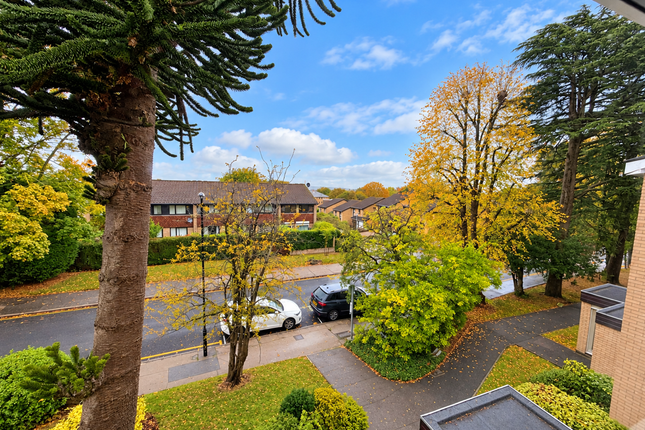 Croydon photo 5