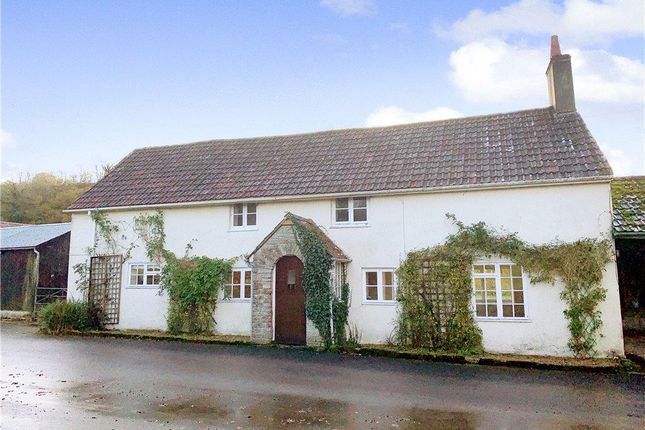 Detached house to rent in Sydling St Nicholas, Dorchester, Dorset