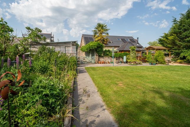 Llyscadno, Ammanford photo 3