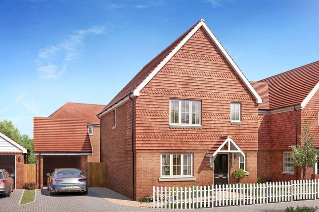 The Willow, Number 67