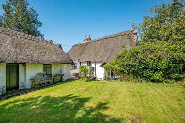 The Old Inn Cottage,, Holt, Dorset photo 2