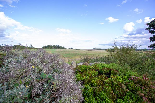 Land for sale in Hutton, Berwick-Upon-Tweed