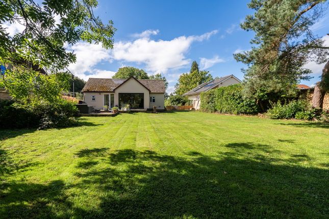 21, Telegraph Lane, Alton photo 4